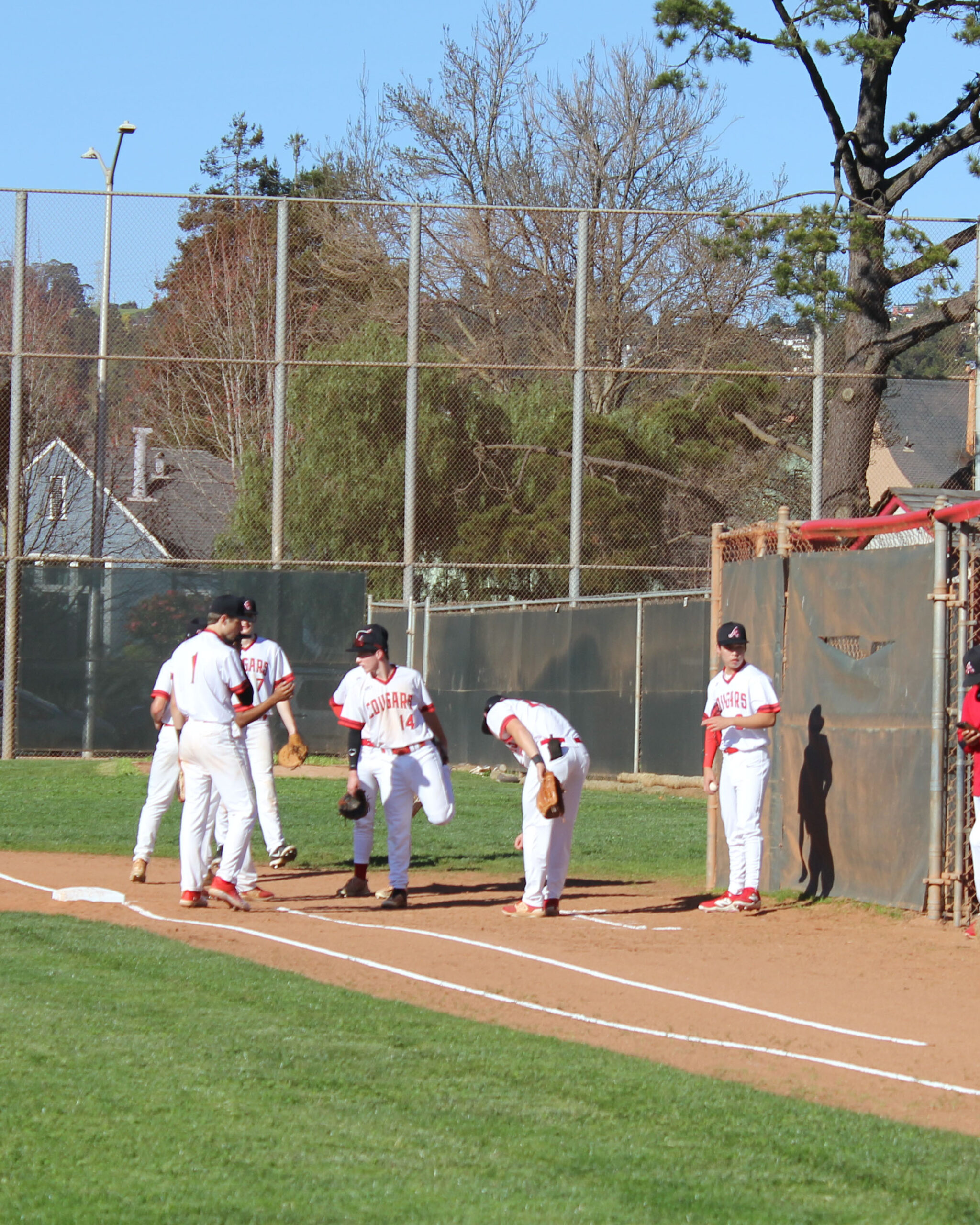 BaseballStory